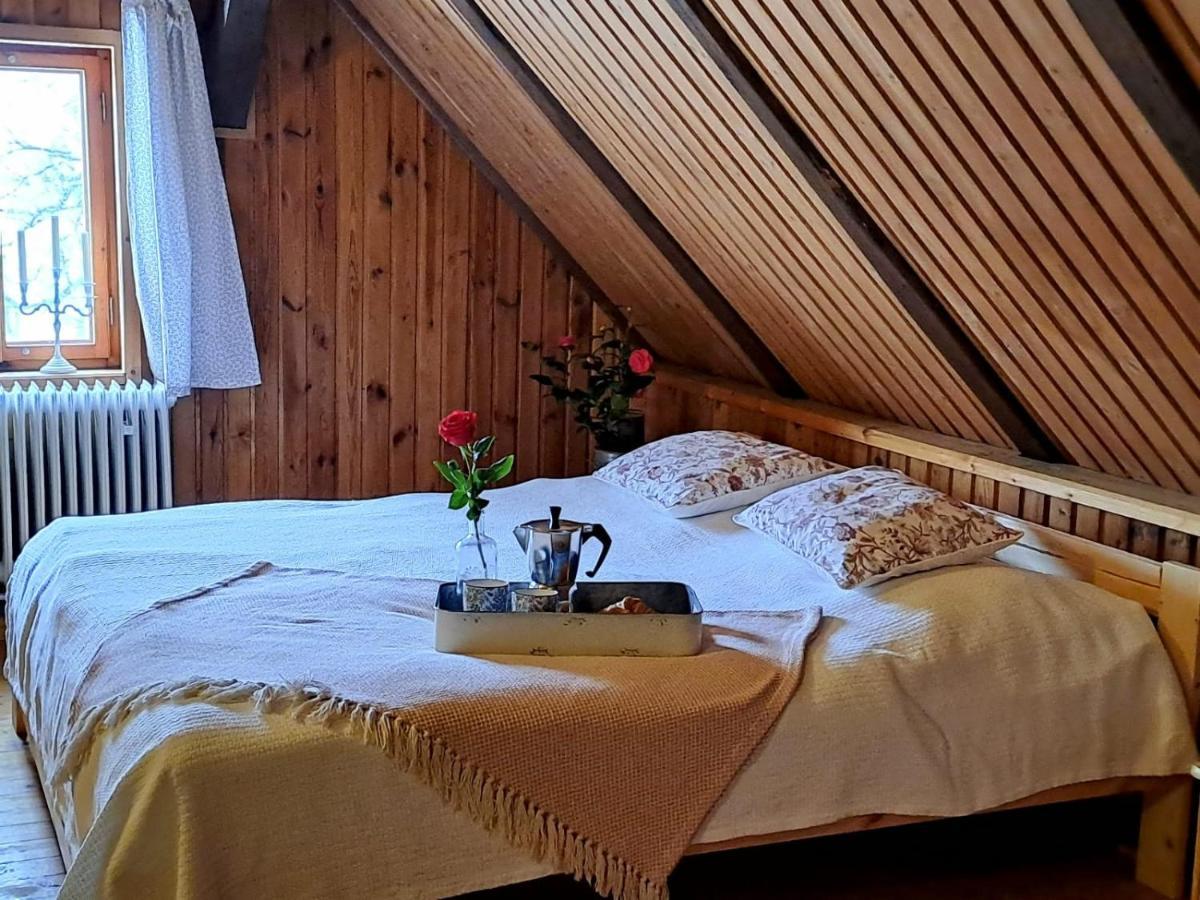 Chalupa Lichtenberg/ Svetlik Horni Podluzi Exteriér fotografie