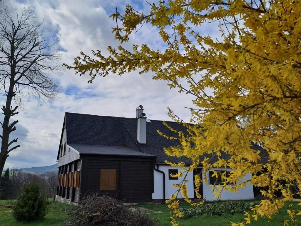 Chalupa Lichtenberg/ Svetlik Horni Podluzi Exteriér fotografie